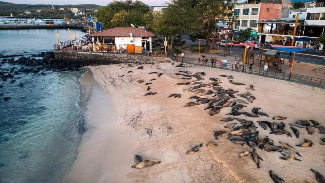 Royal Galapagos Inn Puerto Baquerizo Moreno Exteriér fotografie